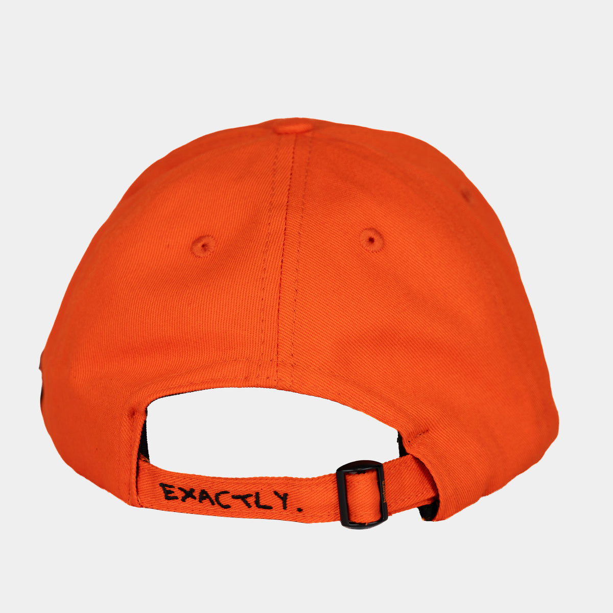 nothing to prove cap